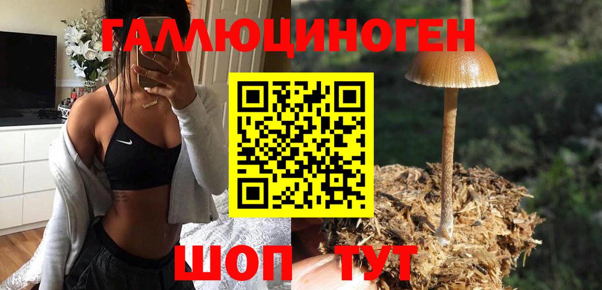 Новокубанск  Галлюциногенные грибы MAGIC MUSHROOMS  Вход с VPN  Галлюциногенные грибы Psilocybe 